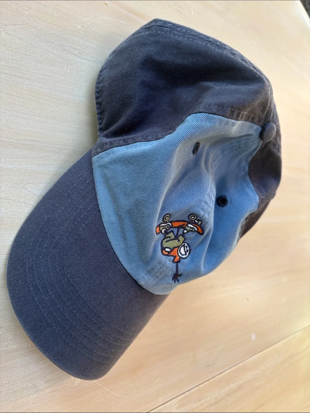 Life Is Good Skateboarder Hat blue NWT
